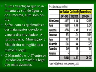   É uma vegetação que se a-
    limenta de sol, de água e
    de si mesma, num solo po-
    bre;
   Sofre com as queimadas e
    desmatamentos devido a-
    vanços das atividades: A-
     gropecuária, Mineração e
    Madeireira na região da a-
    mazônia legal;
   O Maranhão é o 5º entre os
     estados da Amazônia legal
    que mais desmata.
 