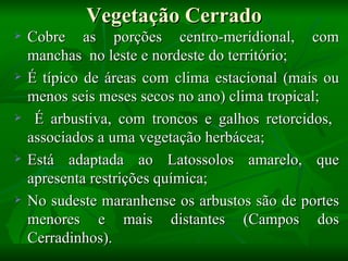 Vegetação Cerrado
   Cobre as porções centro-meridional, com
    manchas no leste e nordeste do território;
   É típico de áreas com clima estacional (mais ou
    menos seis meses secos no ano) clima tropical;
    É arbustiva, com troncos e galhos retorcidos,
    associados a uma vegetação herbácea;
   Está adaptada ao Latossolos amarelo, que
    apresenta restrições química;
   No sudeste maranhense os arbustos são de portes
    menores e mais distantes (Campos dos
    Cerradinhos).
 