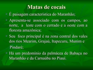 Matas de cocais
   É paisagem característica do Maranhão;
   Apresenta-se associado com os campos, ao
    norte, a leste com o cerrado e a oeste com a
    floresta amazônica;
   Seu foco principal é na zona central dos vales
    dos rios Mearim, Grajaú, Itapecuru, Munim e
    Pindaré;
   Há um predomínio da palmácea de Babaçu no
    Maranhão e da Carnaúba no Piauí.
 