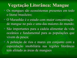 Vegetação Litorânea: Mangue
   Os mangues são ecossistemas presentes em todo
    o litoral brasileiro;
   O Maranhão é o estado com maior concentração
    de mangue no país e uma das maiores do mundo;
   São importantes para a cadeia alimentar da vida
    oceânica e fundamental para as populações que
    vivem da pesca;
   A poluição de rios e mares em conjunto com a
    especulação imobiliária nas regiões litorâneas
    tem afetado as áreas de mangues
 