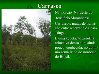 Carrasco
       Na porção Nordeste do
         território Maranhense;
       Carrascos, matas de transi-
        ção entre o cerrado e a caa-
          tinga;
       É uma vegetação xerófila
        arbustiva densa alta, ainda
        pouco conhecida, no domí-
        nio semi-árido do nordeste
        do Brasil.
 