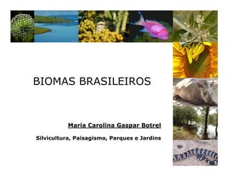 BIOMAS BRASILEIROS
Maria Carolina Gaspar Botrel
Silvicultura, Paisagismo, Parques e Jardins
 