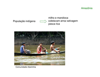 milho e mandioca
coletavam arroz selvagem
pesca rica
População indígena
Amazônia
Comunidade ribeirinha
 
