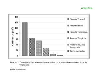 60
80
100
120
140
Carbono(Mgha
-1
)
Floresta Tropical
Floresta Boreal
Floresta Temperada
Savanas Tropicais
Amazônia
0
20
40
60
Carbono(Mgha
Savanas Tropicais
Pradaria de Zona
Temperada
Terras Agrícolas
Quadro 1: Quantidade de carbono existente acima do solo em determinados tipos de
Fonte: Schumacher
vegetação
 