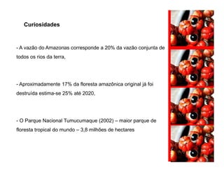 Curiosidades
- A vazão do Amazonas corresponde a 20% da vazão conjunta de
todos os rios da terra,
- Aproximadamente 17% da floresta amazônica original já foi- Aproximadamente 17% da floresta amazônica original já foi
destruída estima-se 25% até 2020,
- O Parque Nacional Tumucumaque (2002) – maior parque de
floresta tropical do mundo – 3,8 milhões de hectares
 