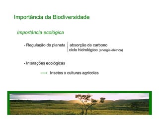 Importância da Biodiversidade
Importância ecológica
- Regulação do planeta absorção de carbono
ciclo hidrológico (energia elétrica)
- Interações ecológicas- Interações ecológicas
Insetos x culturas agrícolas
 