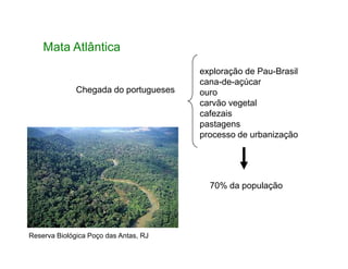Mata Atlântica
exploração de Pau-Brasil
cana-de-açúcar
ouro
carvão vegetal
cafezais
pastagens
processo de urbanização
Chegada do portugueses
processo de urbanização
70% da população
Reserva Biológica Poço das Antas, RJ
 