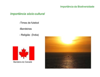 Importância da Biodiversidade
Importância sócio-cultural
-Times de futebol
-Bandeiras
- Religião (Índia)
Bandeira do Canadá
 