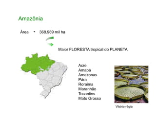 Amazônia
Área 368.989 mil ha
Maior FLORESTA tropical do PLANETA
Acre
Amapá
Amazonas
Pára
Roraima
Maranhão
Tocantins
Mato Grosso
Vitória-régia
 