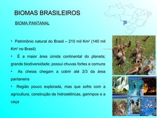 BIOMAS BRASILEIROS  Patrimônio natural do Brasil – 210 mil Km 2  (140 mil Km 2  no Brasil) É a maior área úmida continental do planeta; grande biodiversidade;  possui chuvas fortes e comuns As cheias chegam a cobrir até 2/3 da área pantaneira  Região pouco explorada, mas que sofre com a agricultura, construção de hidroelétricas, garimpos e a caça  BIOMA PANTANAL 