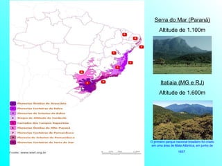 Serra do Mar (Paraná) Altitude de 1.100m Itatiaia (MG e RJ) Altitude de 1.600m O primeiro parque nacional brasileiro foi criado em uma área de Mata Atlântica, em junho de 1937   