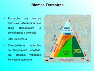 Biomas Terrestres Formação dos biomas terrestres : influenciada pelo clima (temperatura e precipitação) e pelo solo 30% da biosfera Características: variações de temperatura, umidade, luz, pressão, variedade florística e faunística 