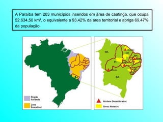 A Paraíba tem 203 municípios inseridos em área de caatinga, que ocupa 52.634,50 km², o equivalente a 93,42% da área territorial e abriga 69,47% da população  