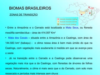 BIOMAS BRASILEIROS  Entre a Amazônia e o Cerrado está localizada a  Mata Seca , ou floresta mesófila semidecídua – área de 414.007 Km 2 Mata dos Cocais  – situada entre a Amazônia e a Caatinga, com área de 144.583 km 2  (babaçu) -  o clima nessa área é bem mais úmido do que na Caatinga, com vegetação mais exuberante à medida em que se avança para o oeste Já na transição entre o Cerrado e a Caatinga pode observar-se uma vegetação mais rica que a da Caatinga, com florestas de árvores de folhas secas. Naturalmente, o clima é mais seco que o do Cerrado, com solo mais ressecado e períodos mais intensos sem chuva  ZONAS DE TRANSIÇÃO 