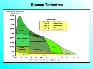 Biomas Terrestres 