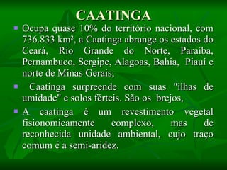 CAATINGA Ocupa quase 10% do território nacional, com 736.833 km², a Caatinga abrange os estados do Ceará, Rio Grande do Norte, Paraíba, Pernambuco, Sergipe, Alagoas, Bahia,  Piauí e norte de Minas Gerais; Caatinga surpreende com suas "ilhas de umidade" e solos férteis. São os  brejos, A caatinga é um revestimento vegetal fisionomicamente complexo, mas de reconhecida unidade ambiental, cujo traço comum é a semi-aridez. 