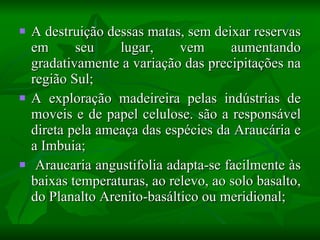 A destruição dessas matas, sem deixar reservas em seu lugar, vem aumentando gradativamente a variação das precipitações na região Sul; A exploração madeireira pelas indústrias de moveis e de papel celulose. são a responsável direta pela ameaça das espécies da Araucária e a Imbuia; Araucaria angustifolia adapta-se facilmente às baixas temperaturas, ao relevo, ao solo basalto, do Planalto Arenito-basáltico ou meridional; 