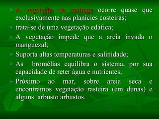 A vegetação de restinga  ocorre quase que exclusivamente nas planícies costeiras; trata-se de uma vegetação edáfica; A vegetação impede que a areia invada o manguezal;  Suporta altas temperaturas e salinidade; As  bromélias equilibra o sistema, por sua capacidade de reter água e nutrientes; Próximo ao mar, sobre areia seca e encontramos vegetação rasteira (em dunas) e alguns  arbusto arbustos. 