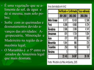 É uma vegetação que se a- limenta de sol, de água  e  de si mesma, num solo po-bre;  Sofre  com as queimadas e desmatamentos devido a- vanços das atividades:  A-  gropecuária,  Mineração  e Madeireira na região da a- mazônia legal; O Maranhão é  o 5º entre os  estados da Amazônia legal que mais desmata. 