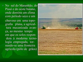 No  sul do Maranhão, do Piauí e do oeste baiano, onde domina um clima com período seco e um chuvoso em  uma topo- grafia  plana, a agricul-  tura  mecanizada  avan- ça, ao mesmo  tempo  em que os solos respon-  dem  à  moderna  tecno- logia  empregada,  tor-  nando-se uma fronteira agrícola (pólo de  grãos) 