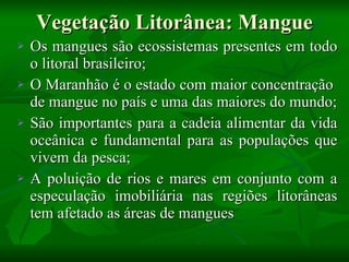 Vegetação Litorânea: Mangue Os mangues são ecossistemas presentes em todo o litoral brasileiro; O Maranhão é o estado com maior concentração  de mangue no país e uma das maiores do mundo; São importantes para a cadeia alimentar da vida oceânica e fundamental para as populações que vivem da pesca; A poluição de rios e mares em conjunto com a especulação imobiliária nas regiões litorâneas tem afetado as áreas de mangues 