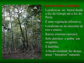 Características principais: Localiza-se  no  litoral desde a foz do Gurupi até a foz do Periá; É uma vegetação arbustiva; Localizam-se no encontro de rios e mares; Raízes externas (aéreas); Solo detrítico  e pobre  em oxigênio; É halófita;  A biodiversidade faz destas áreas “ berçários” naturais. 