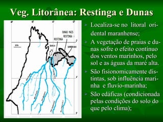 Veg. Litorânea: Restinga e Dunas Localiza-se no  litoral  ori- dental maranhense; A vegetação de praias e du- nas sofre o efeito contínuo dos ventos marinhos, pelo sol e as águas da maré alta.  São fisionomicamente dis- tintas, sob influência mari-  nha  e fluvio-marinha; São edáficas (condicionada pelas condições do solo do que pelo clima); 