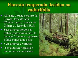 Floresta temperada decídua ou caducifólia Abrange o oeste e centro da Europa, leste da Ásia (Coréia, Japão, e partes da China) e o leste dos EUA; Suas árvores perdem as folhas (outono/inverno). O inverno é bastante rigoroso e a água congela no solo; Veg. arbórea e variadas O solo destas florestas é muito rico em nutrientes 