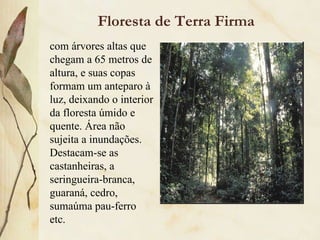 Biomas do brasil (Prof° Elves Alves)