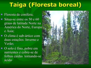 Taiga (Floresta boreal) Floresta de conífera; Situa-se entre os 50 e 60 graus de latitude Norte na América do Norte, Europa e Ásia; O clima é sub-ártico com duas estações: Inverno e Verão; O solo é fino, pobre em nutrientes e cobre-se de folhas caídas  tornando-se ácido 