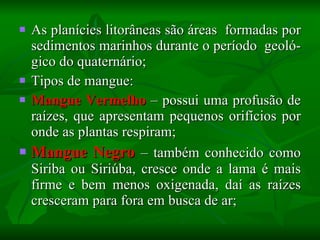 As planícies litorâneas são áreas  formadas por sedimentos marinhos durante o período  geoló- gico do quaternário;  Tipos de mangue: Mangue Vermelho  – possui uma profusão de raízes, que apresentam pequenos orifícios por onde as plantas respiram;  Mangue Negro  – também conhecido como Siriba ou Siriúba, cresce onde a lama é mais firme e bem menos oxigenada, daí as raízes cresceram para fora em busca de ar;  