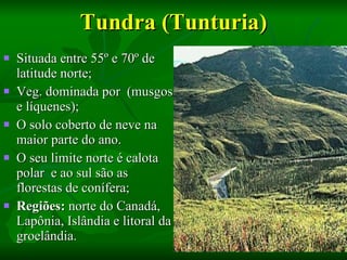Tundra (Tunturia) Situada entre 55º e 70º de latitude norte; Veg. dominada por  (musgos e líquenes); O solo coberto de neve na maior parte do ano.  O seu limite norte é calota polar  e ao sul são as florestas de conífera; Regiões:  norte do Canadá,  Lapônia, Islândia e litoral da groelândia. 