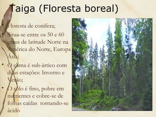 Taiga (Floresta boreal)
• Floresta de conífera;
• Situa-se entre os 50 e 60
  graus de latitude Norte na
  América do Norte, Europa e
  Ásia;
• O clima é sub-ártico com
  duas estações: Inverno e
  Verão;
• O solo é fino, pobre em
  nutrientes e cobre-se de
  folhas caídas tornando-se
  ácido
 
