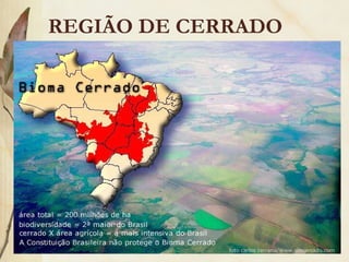 REGIÃO DE CERRADO
 