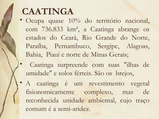 CAATINGA
• Ocupa quase 10% do território nacional,
  com 736.833 km², a Caatinga abrange os
  estados do Ceará, Rio Grande do Norte,
  Paraíba, Pernambuco, Sergipe, Alagoas,
  Bahia, Piauí e norte de Minas Gerais;
• Caatinga surpreende com suas "ilhas de
  umidade" e solos férteis. São os brejos,
• A caatinga é um revestimento vegetal
  fisionomicamente complexo, mas de
  reconhecida unidade ambiental, cujo traço
  comum é a semi-aridez.
 