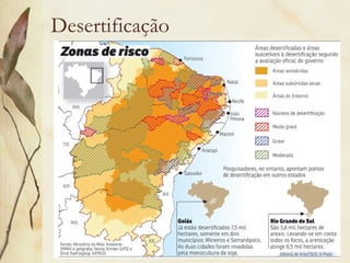 Desertificação
 
