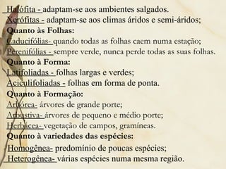 Halófita - adaptam-se aos ambientes salgados.
    Xerófitas - adaptam-se aos climas áridos e semi-áridos;
    Quanto às Folhas:
    Caducifólias- quando todas as folhas caem numa estação;
    Perenifólias - sempre verde, nunca perde todas as suas folhas.
    Quanto à Forma:
 
    Latifoliadas - folhas largas e verdes;
    Aciculifoliadas - folhas em forma de ponta.
    Quanto à Formação:
    Arbórea- árvores de grande porte;
    Arbustiva- árvores de pequeno e médio porte;
    Herbácea- vegetação de campos, gramíneas.
    Quanto à variedades das espécies:
    Homogênea- predomínio de poucas espécies;
    Heterogênea- várias espécies numa mesma região.
 