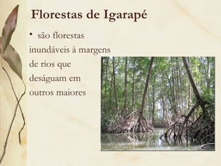 Florestas de Igarapé
• são florestas
inundáveis à margens
de rios que
deságuam em
outros maiores
 