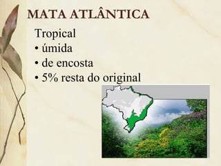 MATA ATLÂNTICA
Tropical
• úmida
• de encosta
• 5% resta do original
 