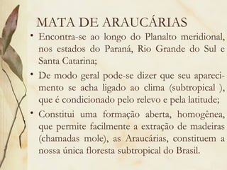 MATA DE ARAUCÁRIAS
• Encontra-se ao longo do Planalto meridional,
  nos estados do Paraná, Rio Grande do Sul e
  Santa Catarina;
• De modo geral pode-se dizer que seu apareci-
  mento se acha ligado ao clima (subtropical ),
  que é condicionado pelo relevo e pela latitude;
• Constitui uma formação aberta, homogênea,
  que permite facilmente a extração de madeiras
  (chamadas mole), as Araucárias, constituem a
  nossa única floresta subtropical do Brasil.
 