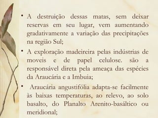 • A destruição dessas matas, sem deixar
  reservas em seu lugar, vem aumentando
  gradativamente a variação das precipitações
  na região Sul;
• A exploração madeireira pelas indústrias de
  moveis e de papel celulose. são a
  responsável direta pela ameaça das espécies
  da Araucária e a Imbuia;
• Araucária angustifólia adapta-se facilmente
  às baixas temperaturas, ao relevo, ao solo
  basalto, do Planalto Arenito-basáltico ou
  meridional;
 