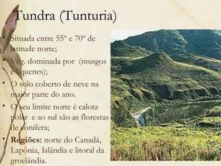 Tundra (Tunturia)
• Situada entre 55º e 70º de
  latitude norte;
• Veg. dominada por (musgos
  e líquenes);
• O solo coberto de neve na
  maior parte do ano.
• O seu limite norte é calota
  polar e ao sul são as florestas
  de conífera;
• Regiões: norte do Canadá,
  Lapônia, Islândia e litoral da
  groelândia.
 