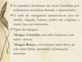  As planícies litorâneas são áreas formadas por
  sedimentos marinhos durante o quaternário;
 O solo do manguezal caracteriza-se por ser
  úmido, salgado, lodoso, pobre em oxigênio e
  muito rico em nutrientes.
 Tipos de mangue:
  Mangue Vermelho, em solos lodosos, com
  raízes aéreas;
  Mangue Branco, em terrenos mais altos, de
  solo mais firme, associado a formações
  arenosas.
 