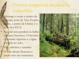 Floresta temperada decídua ou
         caducifólia
• Abrange o oeste e centro da
  Europa, leste da Ásia (Coréia,
  Japão, e partes da China) e o
  leste dos EUA;
• Suas árvores perdem as folhas
  (outono/inverno). O inverno
  é bastante rigoroso e a água
  congela no solo;
• Veg. arbórea e variadas
• O solo destas florestas é
  muito rico em nutrientes
 