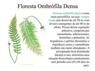 Floresta Ombrófila Densa 
Floresta ombrófila densa é uma 
mata perenifólia, ou seja: sempre 
verde com dossel de até 50 m, com 
árvores emergentes de até 40 m de 
altura. Possui densa vegetação 
arbustiva, composta por 
samambaias, arborescentes, 
bromélias e palmeiras. As 
trepadeiras e epífitas (bromélias e 
orquídeas) cactos e samambaias 
também são muito abundantes. A 
precipitação bem distribuída 
durante o ano, determina uma 
situação bioecológica praticamente 
sem período seco (0 a 60 dias no 
ano). 
 