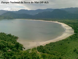 Parque Nacional da Serra do Mar (SP-RJ) 
 