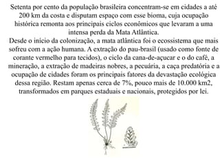 Setenta por cento da população brasileira concentram-se em cidades a até 
200 km da costa e disputam espaço com esse bioma, cuja ocupação 
histórica remonta aos principais ciclos econômicos que levaram a uma 
intensa perda da Mata Atlântica. 
Desde o início da colonização, a mata atlântica foi o ecossistema que mais 
sofreu com a ação humana. A extração do pau-brasil (usado como fonte de 
corante vermelho para tecidos), o ciclo da cana-de-açucar e o do café, a 
mineração, a extração de madeiras nobres, a pecuária, a caça predatória e a 
ocupação de cidades foram os principais fatores da devastação ecológica 
dessa região. Restam apenas cerca de 7%, pouco mais de 10.000 km2, 
transformados em parques estaduais e nacionais, protegidos por lei. 
 