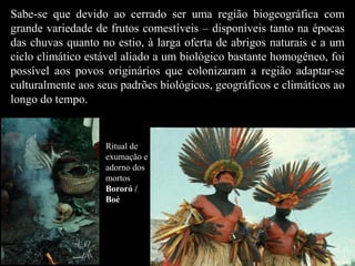 Sabe-se que devido ao cerrado ser uma região biogeográfica com 
grande variedade de frutos comestíveis – disponíveis tanto na épocas 
das chuvas quanto no estio, à larga oferta de abrigos naturais e a um 
ciclo climático estável aliado a um biológico bastante homogêneo, foi 
possível aos povos originários que colonizaram a região adaptar-se 
culturalmente aos seus padrões biológicos, geográficos e climáticos ao 
longo do tempo. 
Ritual de 
exumação e 
adorno dos 
mortos 
Bororó / 
Boé 
 