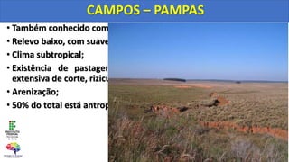 • Também conhecido como Campanha Gaúcha;
• Relevo baixo, com suaves ondulações (coxilhas);
• Clima subtropical;
• Existência de pastagens, ocupação econômica pela pecuária
extensiva de corte, rizicultura (produção de arroz irrigado);
• Arenização;
• 50% do total está antropizada.
CAMPOS – PAMPAS
 