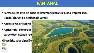 • Formado em área de bacia sedimentar (planície); Clima tropical semi-
úmido, chuvas no período de verão;
• Abriga a maior reserva de vida selvagem do planeta;
• Agricultura comercial no entorno recebe grande quantidade de
agrotóxico, ficando retidos nas águas dos rios e lagos;
• Pecuária, soja, algodão, pesca, caça predatória, turismo.
PANTANAL
 